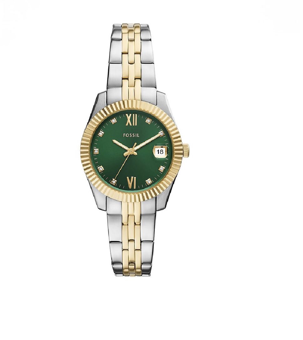Fossil watch
